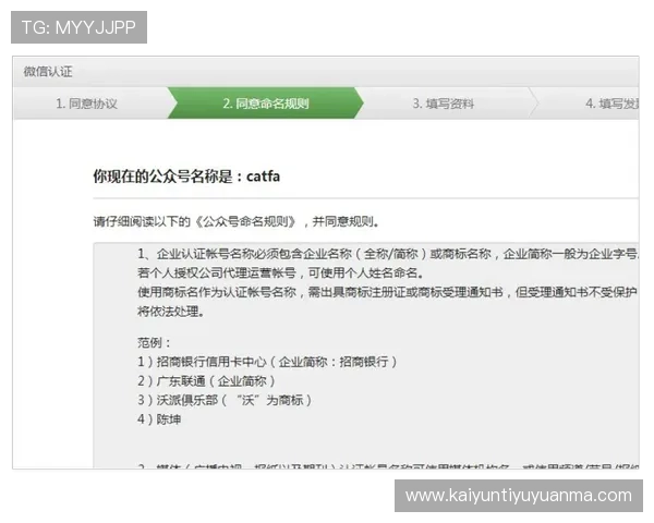 开云KY在线登录安全验证流程详解确保账号安全的实用技巧